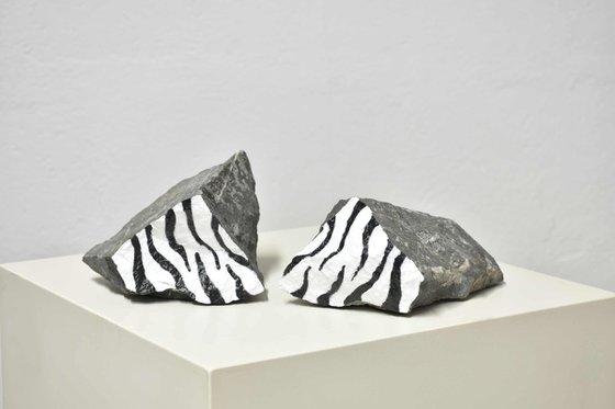 Fossilized zebra 2