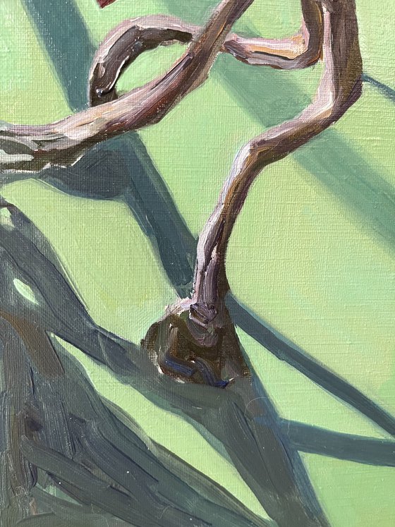 The Flight. Lotus pond