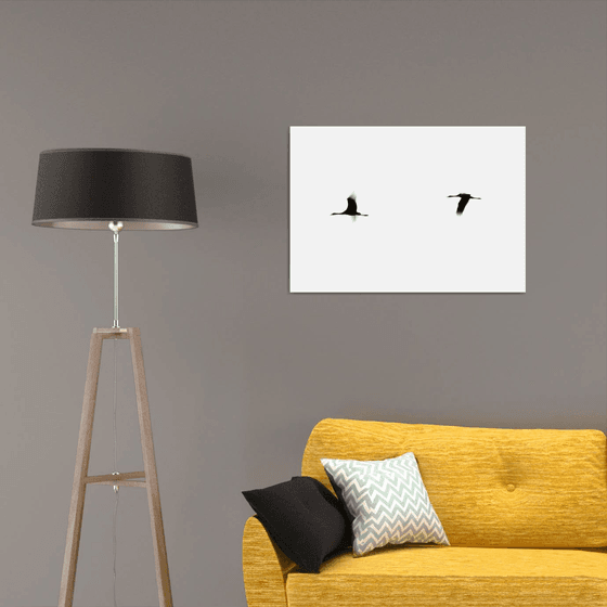 Crane(s) II | Limited Edition Fine Art Print 1 of 10 | 75 x 50 cm