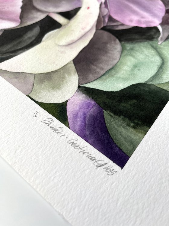 Hydrangea Bouquet