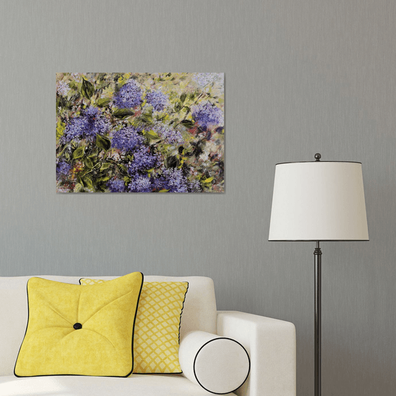 In the Spring Sunshine