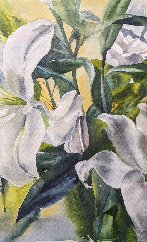 WHITE LILIES #6 by Yurii Pashkov