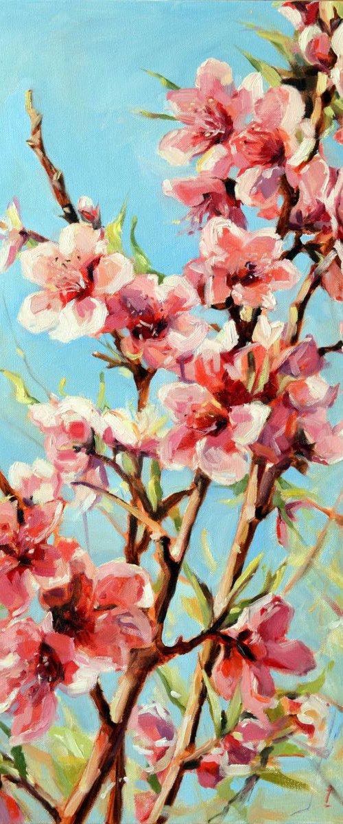 Pink blossom by Irina Ushakova