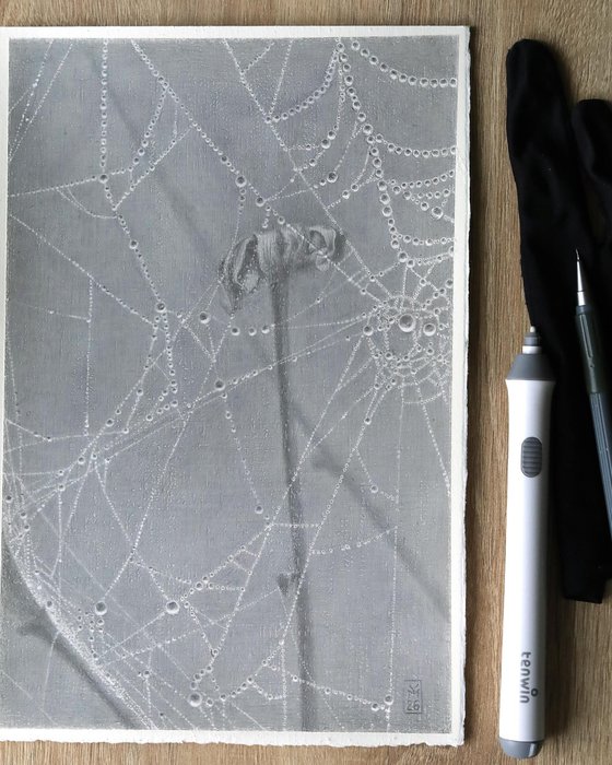 Spiderweb: Crystal Lace