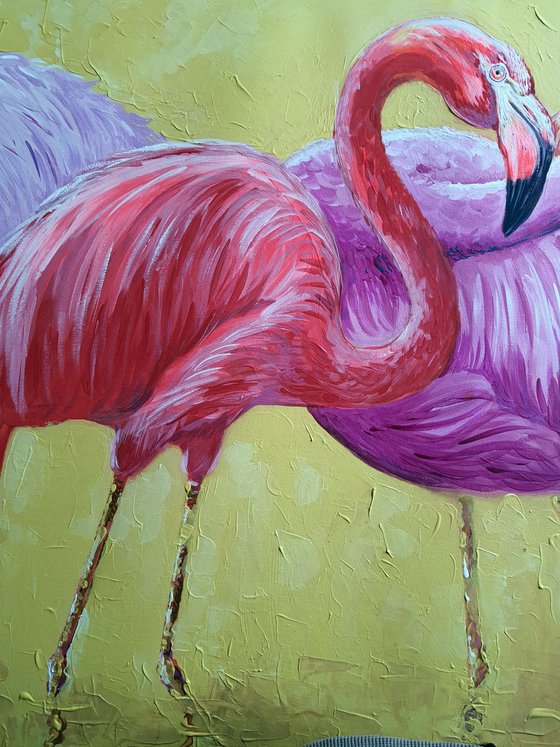 Flamingo.