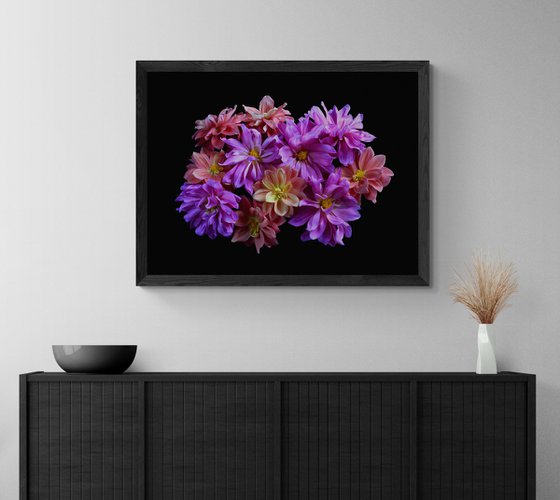 Pink and Peach Dahlias