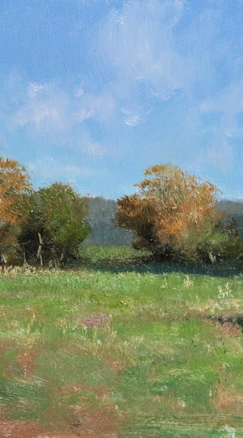 Meadow in Provence by Pascal Giroud
