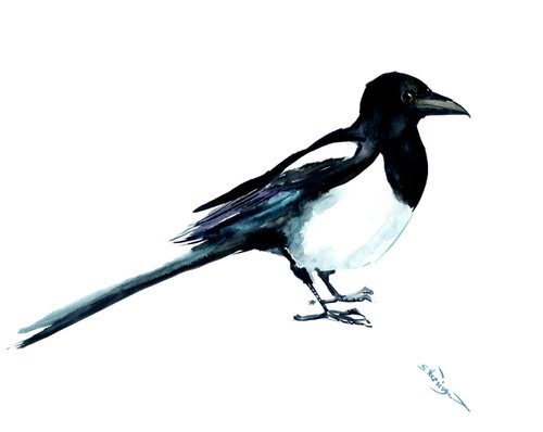 Magpie Bird Watercolor Painting by Suren Nersisyan