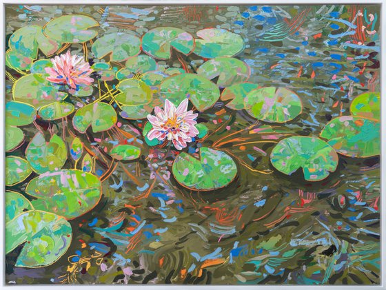 Tasman Lily Pond 45