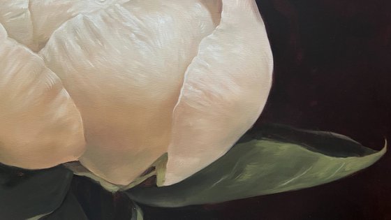 Old Holland flower 7