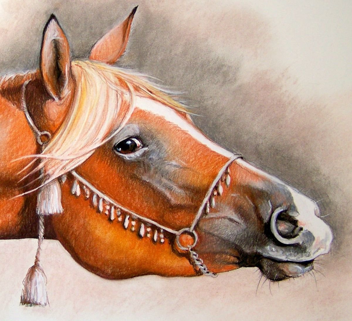 Photorealistic Animal Pastel Drawing By Olga David, 23 X 15", Araber, Original Artwork