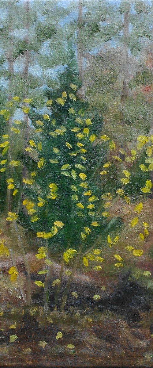 Autumn Forest by Juri Semjonov