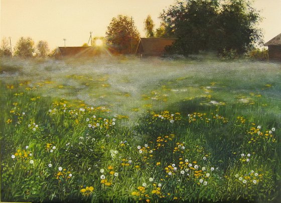 Dandelions Field, Misty Meadow Sunrise