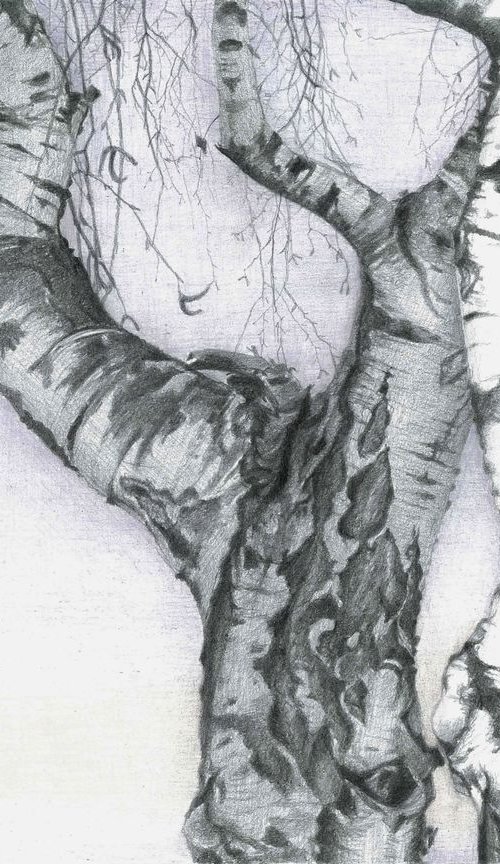 A Couple by Nives Palmić