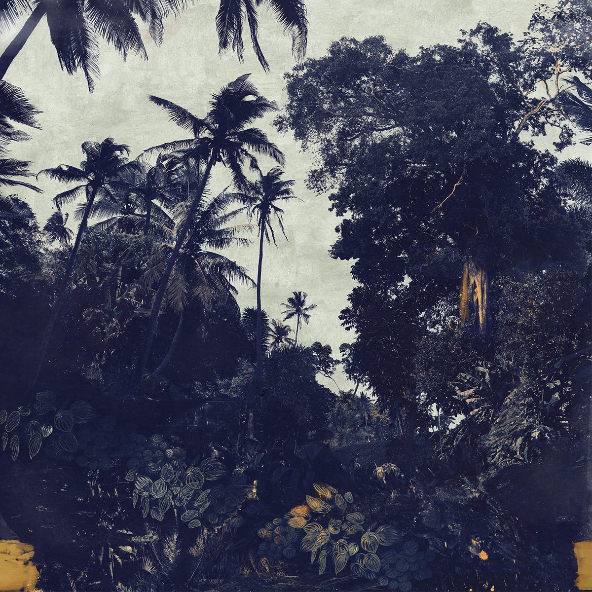 Impressionistic Landscape Photograph By Nadia Attura, 20 X 20", Ella, Original Artwork