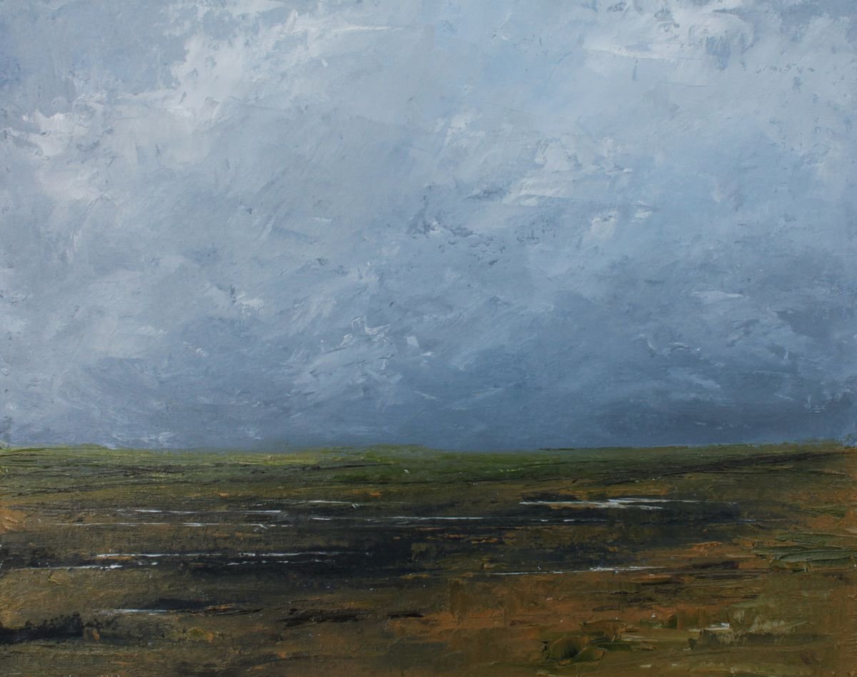 Impressionistic Landscape Oil Painting By John Halliday, 20 X 16, Wetlands, Original Artwork