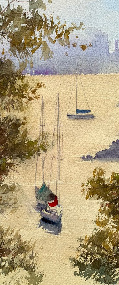 Sydney harbour morning by Shelly Du