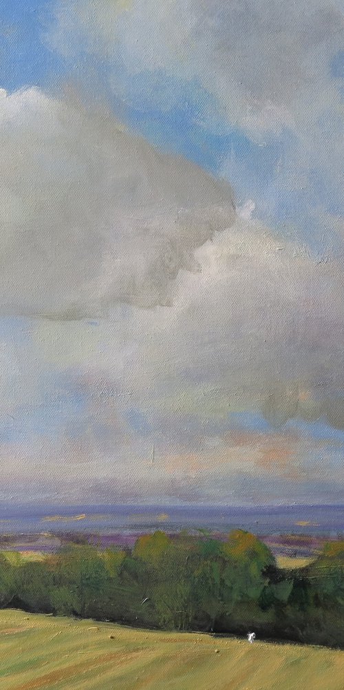 Wolds, Feb 24 by Malcolm Ludvigsen