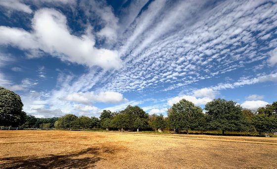 Summer Trails