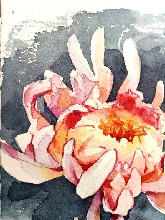 "Dance of the chrysanthemum flower" original watercolor artwork