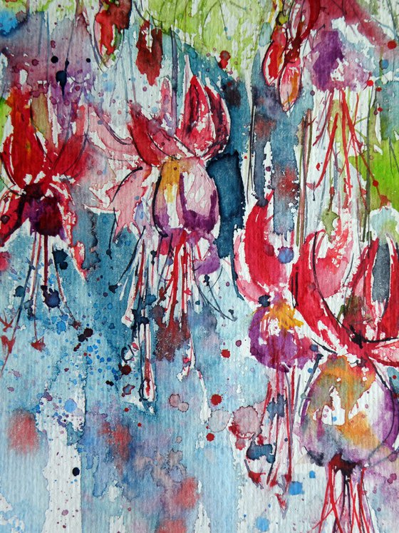 Fuchsia