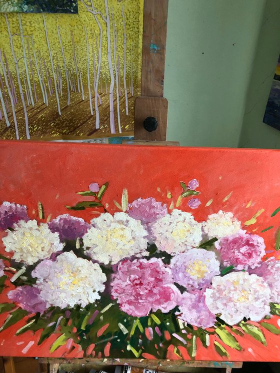 Peonies