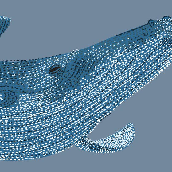 Humpback Whale - Stippling Illustration