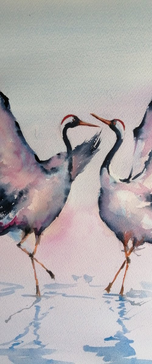 Black-necked Crane by Giorgio Gosti