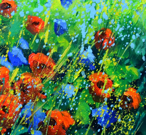 Flowers in Provence 44