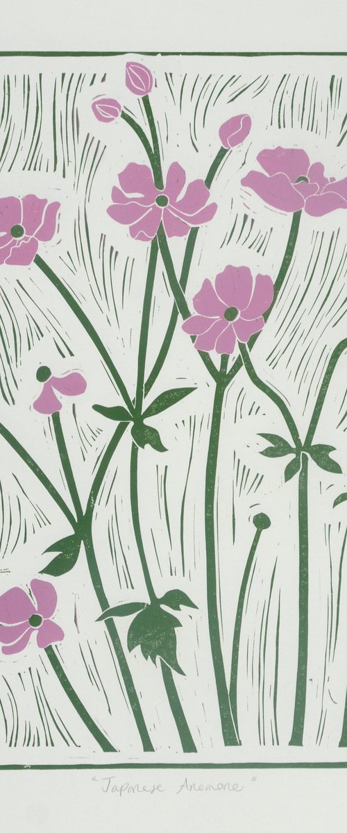 Japanese Anemone by Melissa Birch