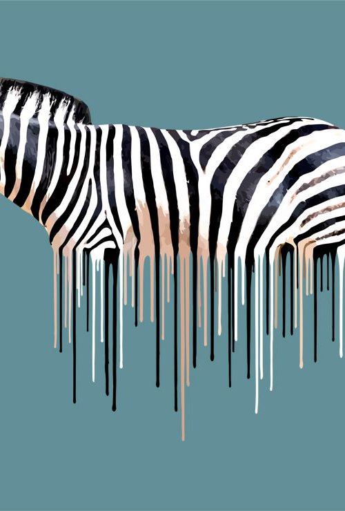 Zebra by Carl Moore