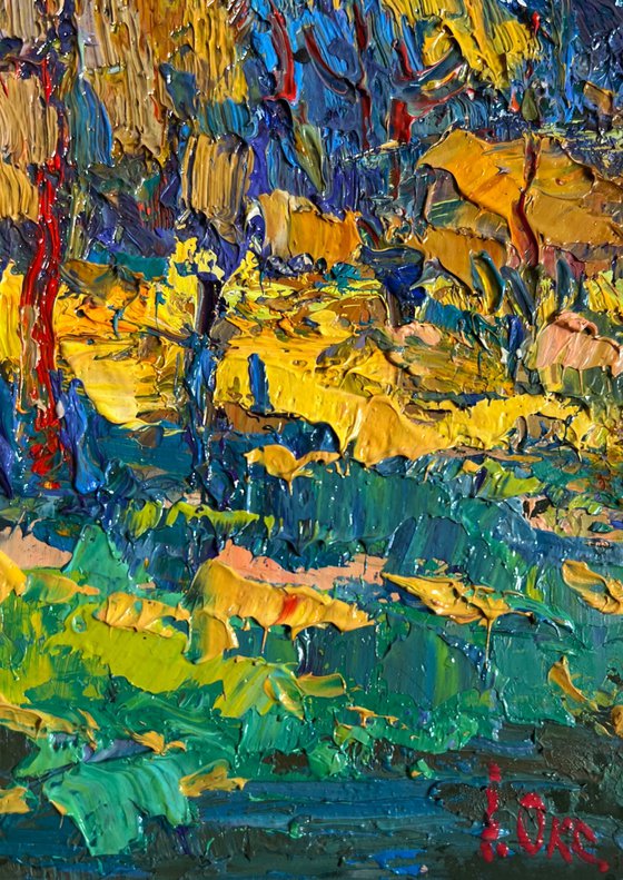 Sunbeams on the meadows