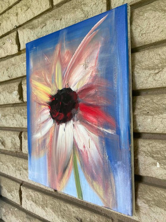 Blueoom Star