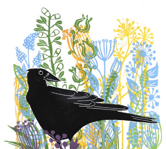 Crows Summer