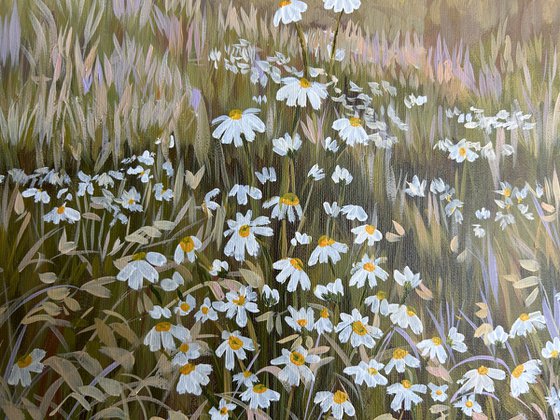 Evening in the Meadow