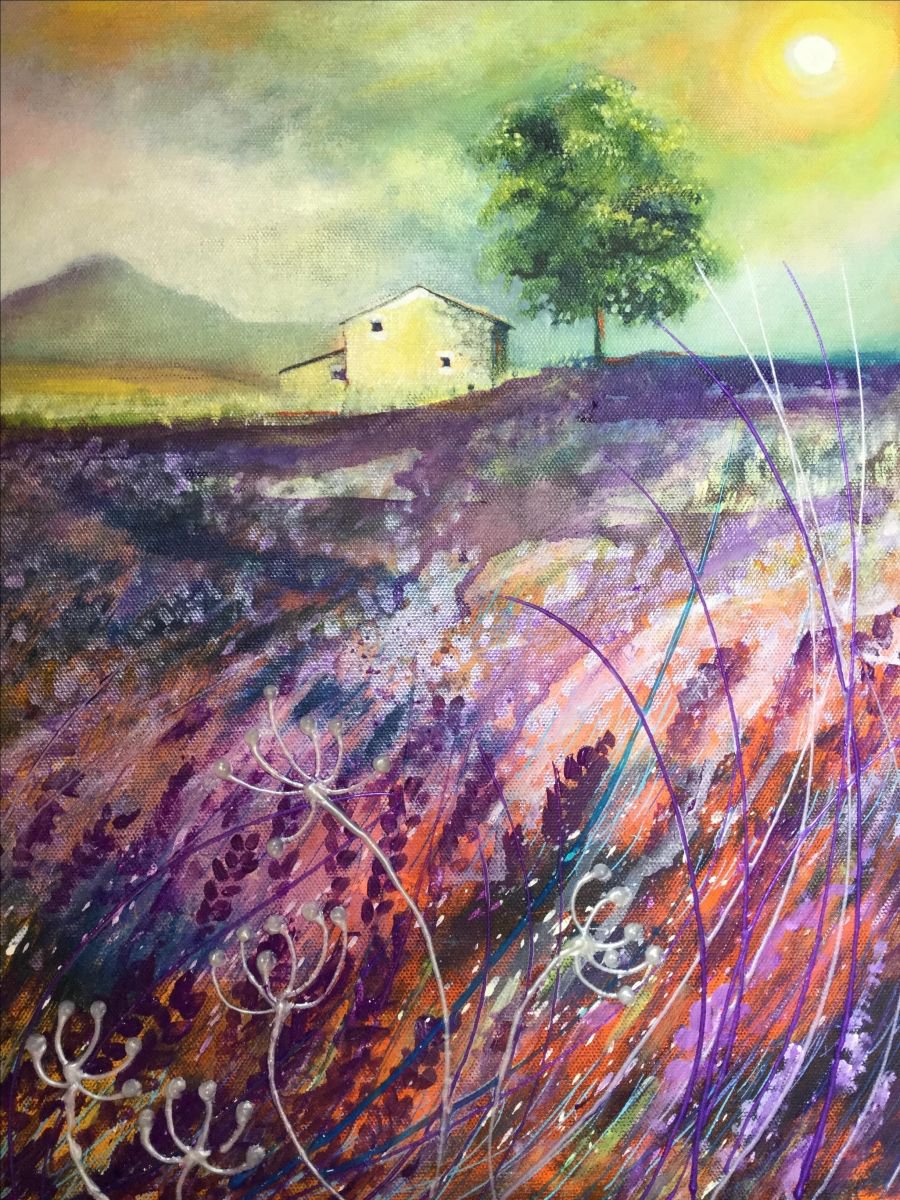 French lavender fields by Carole Ann Hall