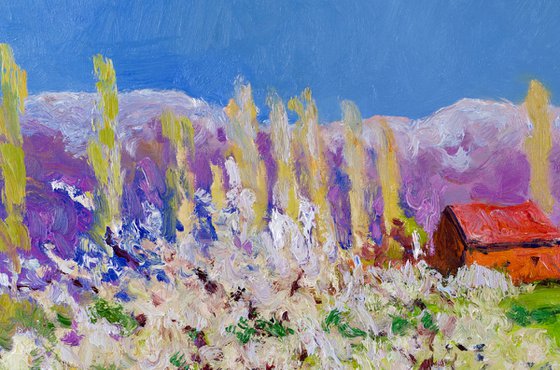 Aprico Tree in the Spring