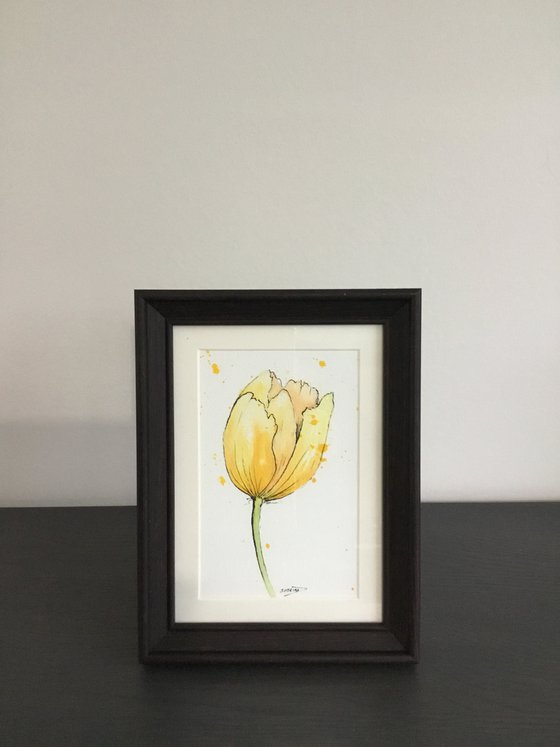 Yellow tulip