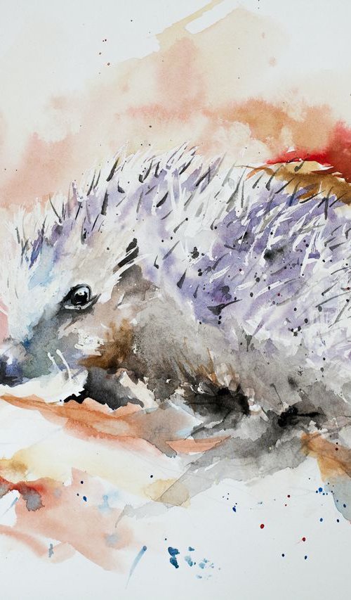 Hedgehog by Tomasz Mikutel