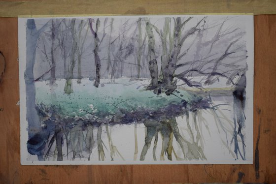 In the forest
