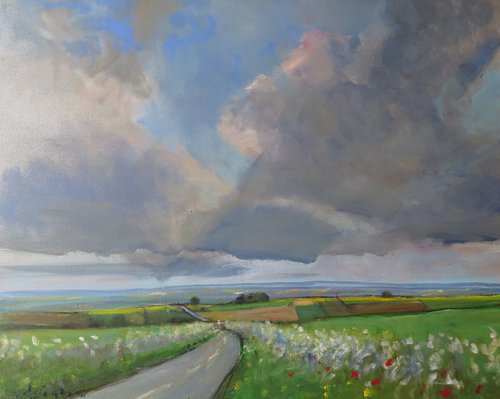 Yorkshire Wolds, June 12 by Malcolm Ludvigsen