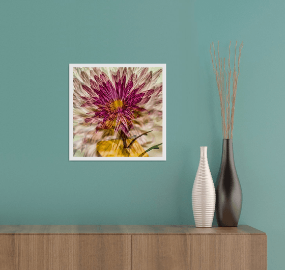 Abstract Flowers #2. Limited Edition 1/25 12x12 inch Photographic Print.