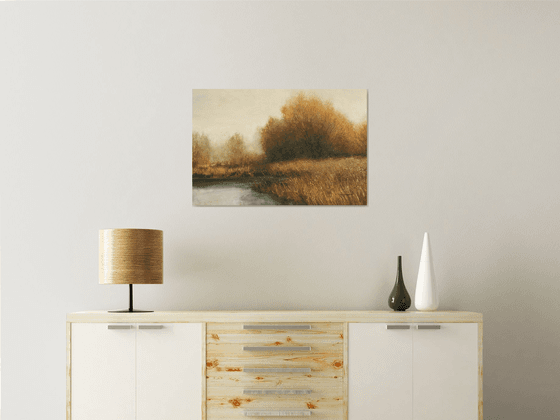 Backlit Trees 251122