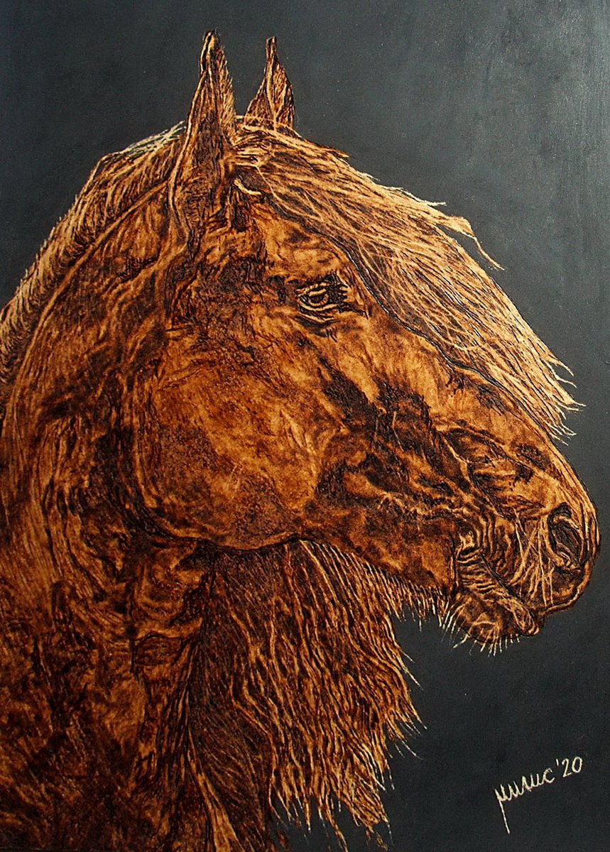 Horse by MILIS Pyrography
