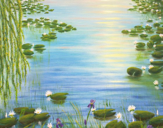 Water lily pond