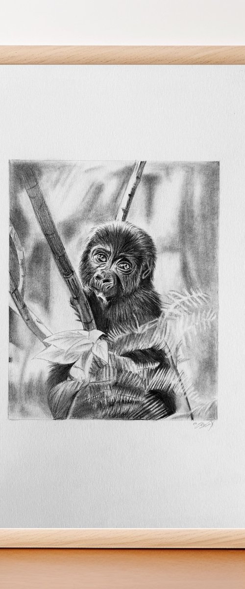 Baby mountain gorilla by Amelia Taylor