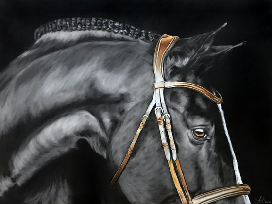 Oil painting with a horse "Black Prince" 80 * 60 cm