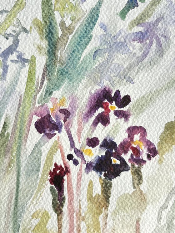 Hyacinth and primroses