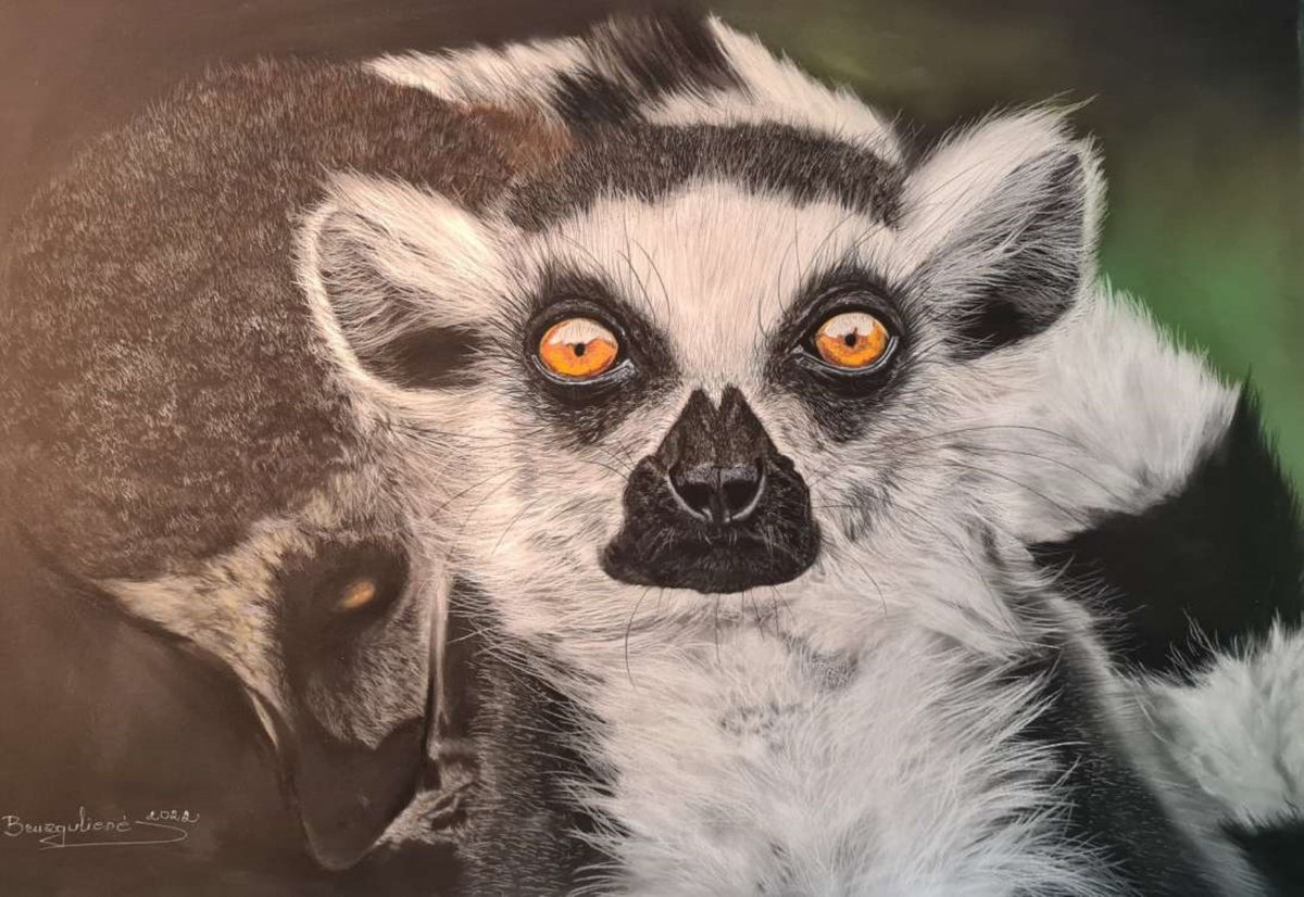 Photorealistic Animal Pastel Drawing By Deimante Bruzguliene, 28 X 20, ,, Lemurs