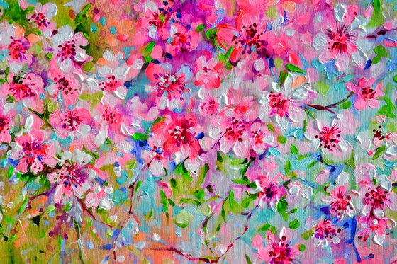 I've Dreamed 58 Sakura Cherry Tree Blossom